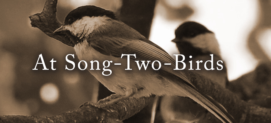 two-birds-title